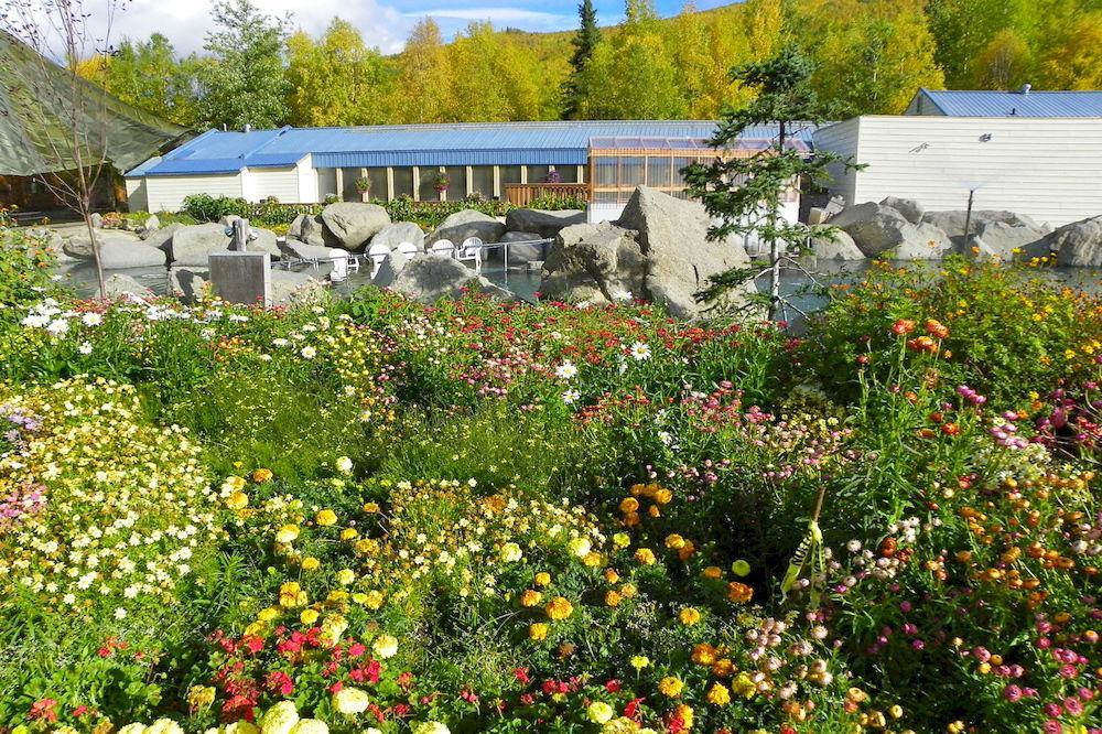 Chena Hot Springs Resort Фэрбанкс Экстерьер фото