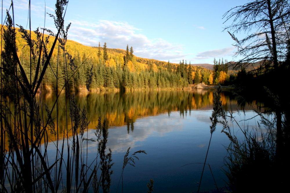 Chena Hot Springs Resort Фэрбанкс Экстерьер фото
