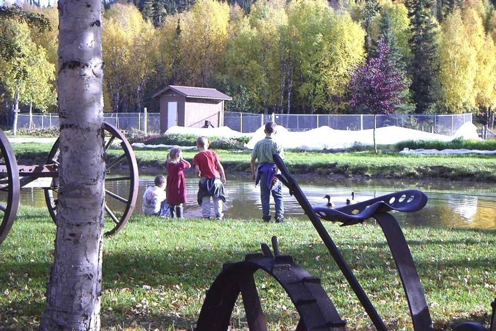 Chena Hot Springs Resort Фэрбанкс Экстерьер фото